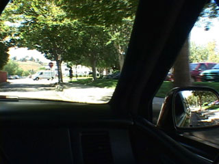 ���� ����� ����