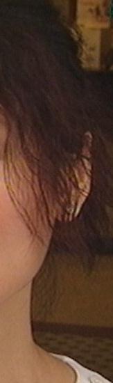 台灣女立委璩美鳳，璩美鳳性愛電影下載，璩美鳳錄像下載，璩美鳳VCD下載，偷拍璩美鳳，璩美鳳無碼影片，璩美鳳最新做愛片段，璩美鳳辦公室偷錄片段