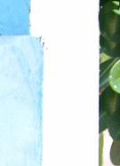 林心如裸照DICERTAGSEND