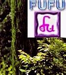 網友提供明星合成照片