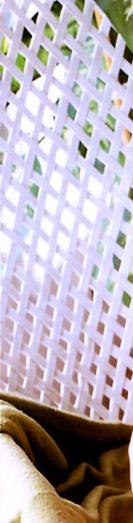 孙燕姿裸照，露点裸照